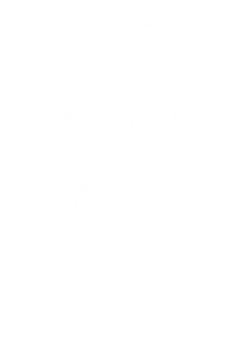 پیشنهادهای شگفتانگیز